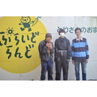 【定期便:12か月】単なる平飼いではないこだわりの卵『わたしたちのぷらいどたまご』3パック(30個)