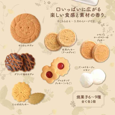 季節の焼き菓子ギフト(S箱)