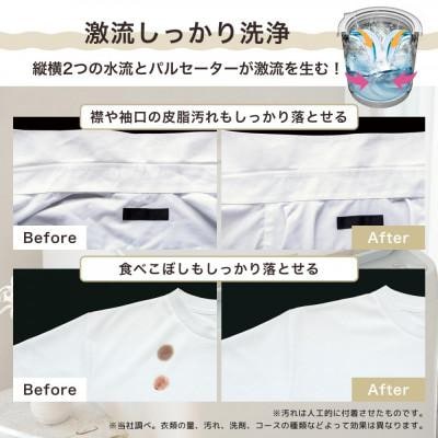 ハイセンス【標準設置費込み】10kg 洗剤自動投入機能付き全自動洗濯機　(HW-DG100XH) 