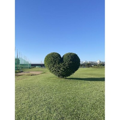 ゴルフ3,000円分利用券*2枚