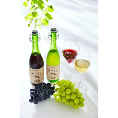井筒ワイン 酸化防止剤無添加 井筒生ワイン 赤・白 720ml 2本セット 要冷蔵