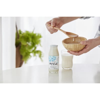 寺田本家 乳酸発酵あま酒 マイグルト 160g x 24本 ノンアルコール【kw0134-0080】