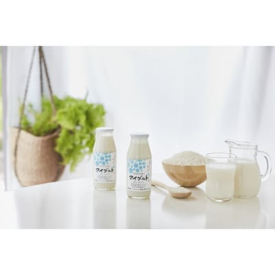 寺田本家 乳酸発酵あま酒 マイグルト 160g x 24本 ノンアルコール