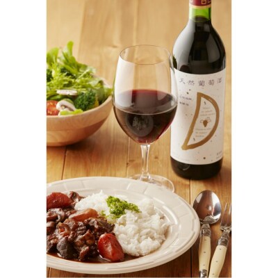 天然ワイン醸造 酸化防止剤無添加 天然葡萄酒 赤 甘口 コンコード 720ml × 2本