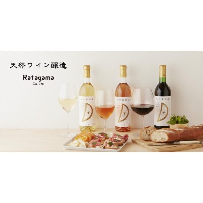 天然ワイン醸造 酸化防止剤無添加 天然葡萄酒 ロゼ マスカットベリーA 720ml × 2本