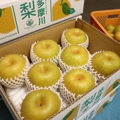 【2025年夏配送】多摩川梨5kg詰め合わせ