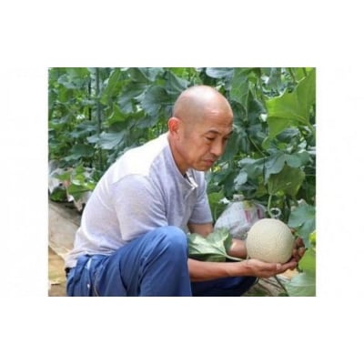 【2025年6月中旬～7月中旬発送】【宮前区特産】マスクメロン(宮前メロン)1個(2kg前後)