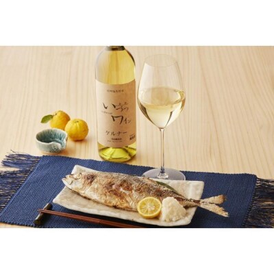 井筒ワイン 酸化防止剤無添加 井筒 ケルナー 白辛口 720ml × 2本 発売元 株式会社片山