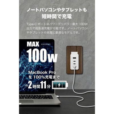 多摩電子工業株式会社 PD100W急速充電対応 USB充電器 PR-AP160 ブラック 小型 軽量