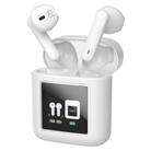 多摩電子工業株式会社・充電式集音器(耳あな型)THS1W