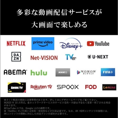 TVS REGZA【標準設置費込み】液晶テレビ REGZA (レグザ) 100V型 (要事前見積)