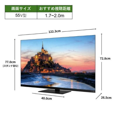 TVS REGZA【標準設置費込み】4K有機ELテレビ REGZA (レグザ) 55V型