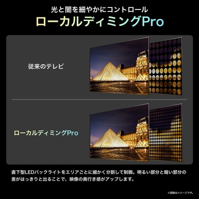 Hisense 【標準設置費込み】 液晶テレビ 100V型  (要事前見積)