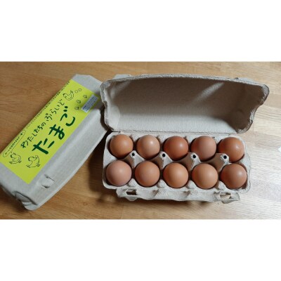 【定期便:12か月】単なる平飼いではない『わたしたちのぷらいどたまご』6パック(60個)セット