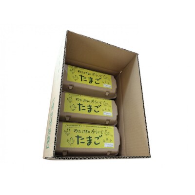 【定期便:12か月】単なる平飼いではない『わたしたちのぷらいどたまご』6パック(60個)セット