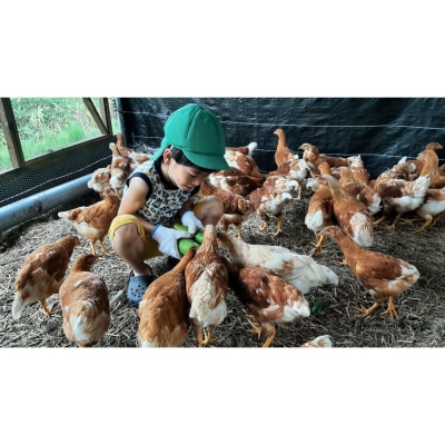 【定期便:6か月】単なる平飼いではない究極の卵『わたしたちのぷらいどたまご』6パック(60個)セット