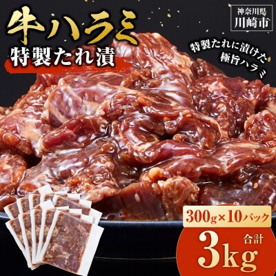 ＜訳あり＞牛ハラミ　特製たれ漬　3.0kg【順次発送】