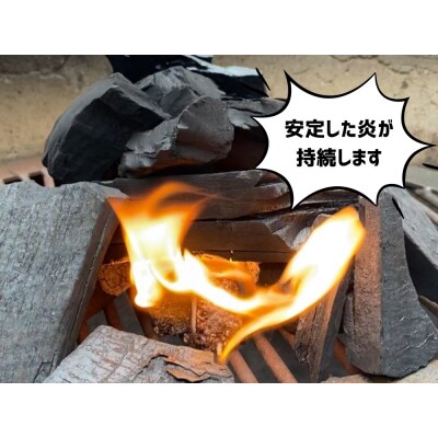 みんなでつくる着火剤(3本入り)10袋