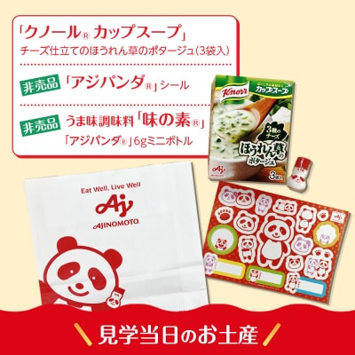 3月4日(水)午後　味の素(株)工場見学　「クノール」スープコース見学クーポン1名様分　お土産付