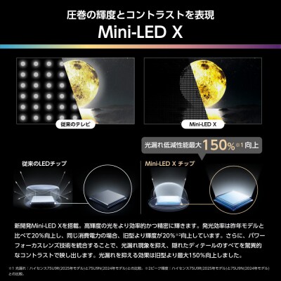 ハイセンス【設置費込み】65V型 65U9R 4K Mini LED 液晶テレビ