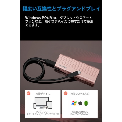 PS5拡張用ヒートシンク一体型SSDケース エンクロージャー NX-EN1SE