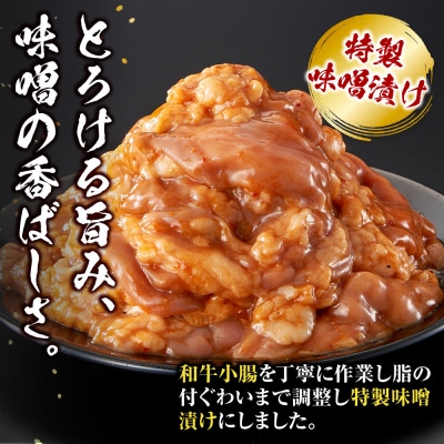 ＜訳アリ＞和牛トロホルモン　特製味噌漬け　1.2kg(300g×4)