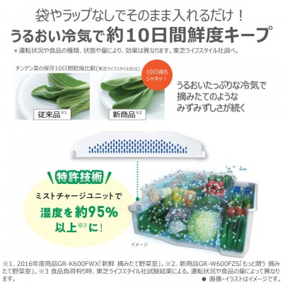 東芝　冷蔵庫【標準設置費込み】　508L　6ドア　両開き　冷凍冷蔵庫　GR-Y510FZ(UC)