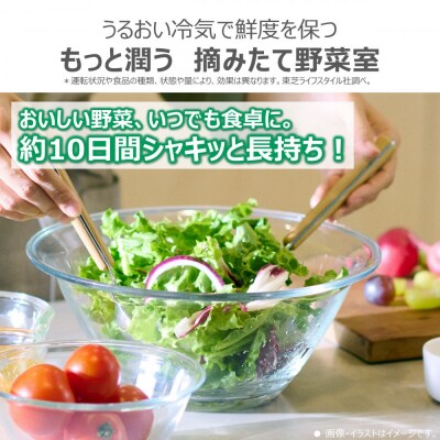 東芝　冷蔵庫【標準設置費込み】　543L　6ドア　両開き　冷凍冷蔵庫　GR-Y540XFS(TW)
