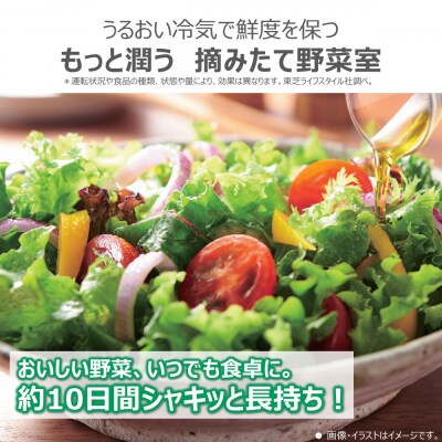 東芝　冷蔵庫【標準設置費込み】　461L　6ドア　両開き　冷凍冷蔵庫　GR-Y460FZ(UC)