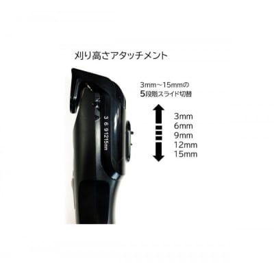 ロゼンスターJPN　水洗いヒゲトリマー　GT-672