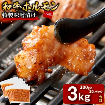<訳アリ>和牛ホルモン(大腸)　特製味噌漬け　3kg(300g×10)