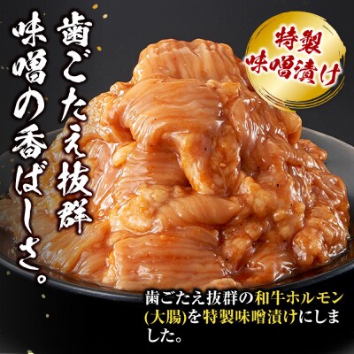 ＜訳アリ＞和牛ホルモン(大腸)　特製味噌漬け　0.9kg(300g×3)【2026年11月発送】