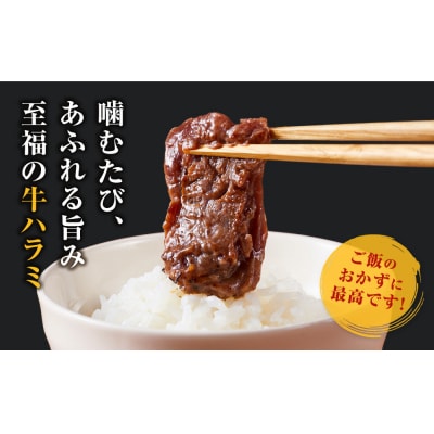 ＜訳あり＞牛ハラミ　特製たれ漬　3.0kg【2026年9月発送】