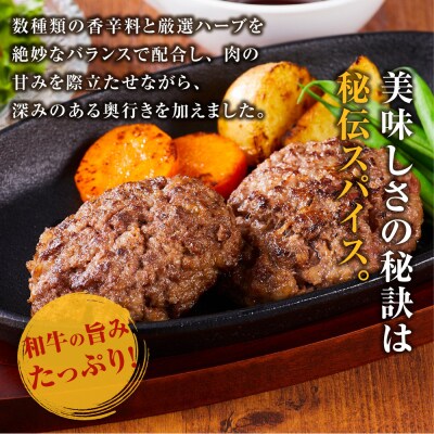 牛タン”入り”和牛生ハンバーグ　100g×30pc　合計3kg【1月発送】