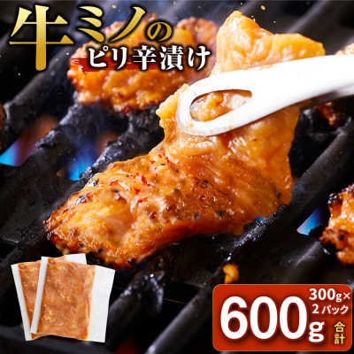 牛ミノ ピリ辛漬け 600g ( 300g ×2パック ) 【2026年6月発送】