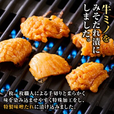 牛ミノ ピリ辛漬け 1.2kg ( 300g × 4パック ) 【2026年9月発送】