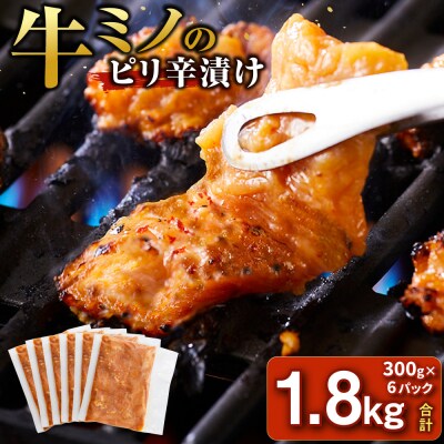牛ミノ ピリ辛漬け 1.8kg ( 300g × 6パック ) 【2026年9月発送】