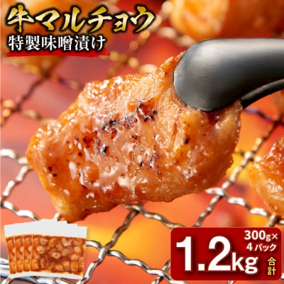 ＜訳アリ＞牛マルチョウ　特製味噌漬け　1.2kg(300g×4)【2026年2月発送】