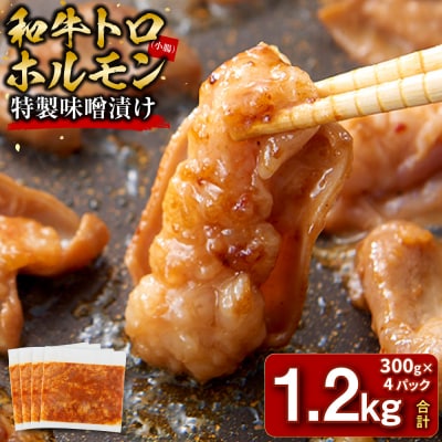 ＜訳アリ＞和牛トロホルモン　特製味噌漬け　1.2kg(300g×4)【2026年1月発送】