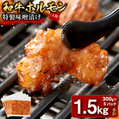 ＜訳アリ＞和牛ホルモン(大腸)　特製味噌漬け　1.5kg(300g×5)【2026年7月発送】