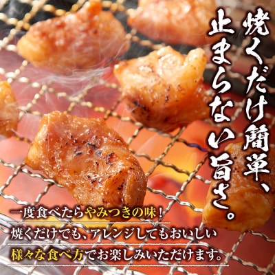 ＜訳アリ＞牛マルチョウ　特製味噌漬け　1.8kg(300g×6)【2026年9月発送】