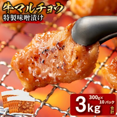 ＜訳アリ＞牛マルチョウ　特製味噌漬け　3kg(300g×10)【2026年1月発送】