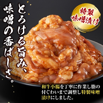 ＜訳アリ＞和牛トロホルモン　特製味噌漬け　0.3kg(300g×1)【2026年7月発送】