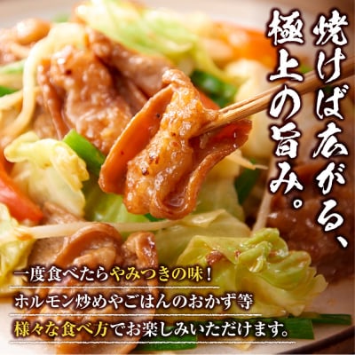 ＜訳アリ＞和牛トロホルモン　特製味噌漬け　0.9kg(300g×3)【2026年9月発送】