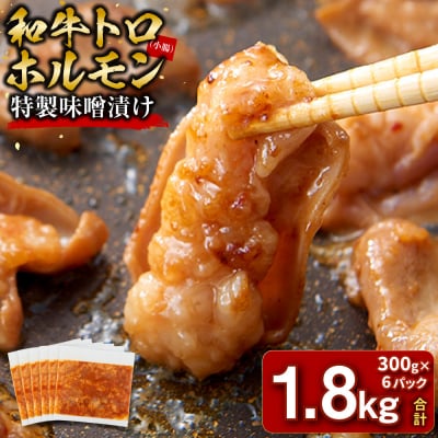 ＜訳アリ＞和牛トロホルモン　特製味噌漬け　1.8kg(300g×6)【2026年3月発送】