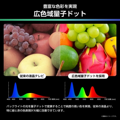 Hisense ハイセンス 3年保証【設置費込み】43V型 43U6R 4K 量子ドット 2.1ch