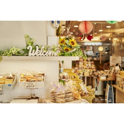 ダミエ　1本(700g)