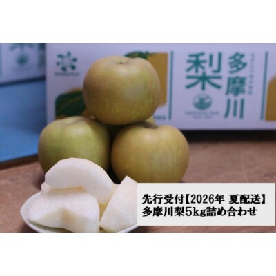 【2026年夏配送】多摩川梨 5Kg 詰め合わせ | 梨 なし 果物 フルーツ 川崎市 オリジナル