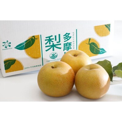 【2026年夏配送】多摩川梨 5Kg 詰め合わせ | 梨 なし 果物 フルーツ 川崎市 オリジナル