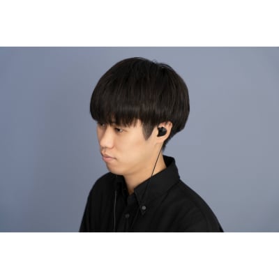 有線イヤホン final A2000 高音質 2PINリケーブル付属